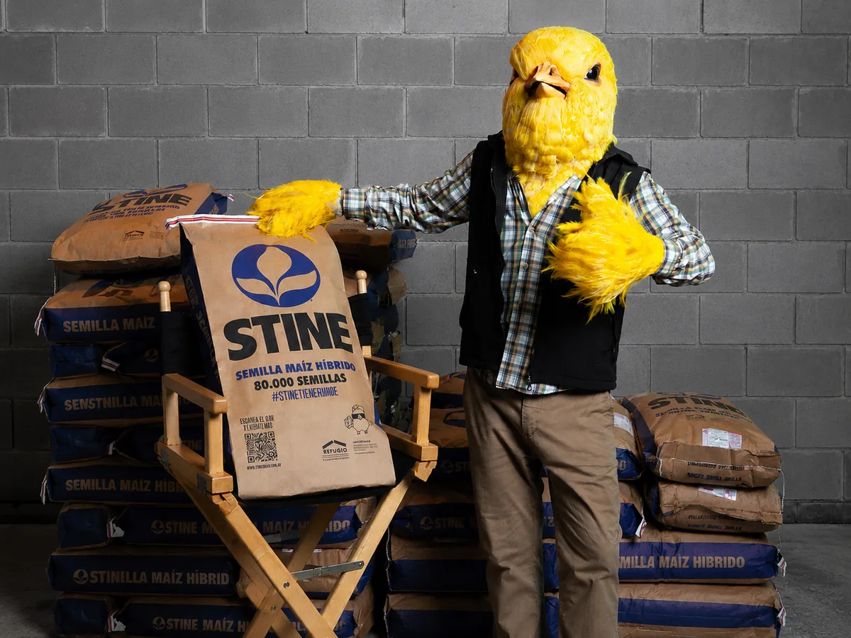 Stine